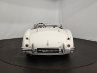 Austin Healey 100 kit Le Mans - <small></small> 115.000 € <small>TTC</small> - #10