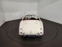 Austin Healey 100 kit Le Mans - <small></small> 115.000 € <small>TTC</small> - #11