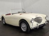 Austin Healey 100 kit Le Mans - <small></small> 115.000 € <small>TTC</small> - #13