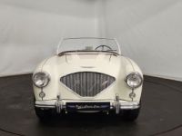 Austin Healey 100 kit Le Mans - <small></small> 115.000 € <small>TTC</small> - #14