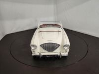 Austin Healey 100 kit Le Mans - <small></small> 115.000 € <small>TTC</small> - #15