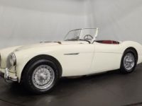 Austin Healey 100 kit Le Mans - <small></small> 115.000 € <small>TTC</small> - #16