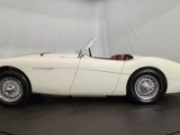 Austin Healey 100 kit Le Mans - <small></small> 115.000 € <small>TTC</small> - #17