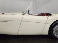 Austin Healey 100 kit Le Mans - <small></small> 115.000 € <small>TTC</small> - #19