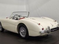 Austin Healey 100 kit Le Mans - <small></small> 115.000 € <small>TTC</small> - #21