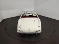 Austin Healey 100 kit Le Mans - <small></small> 115.000 € <small>TTC</small> - #23