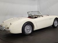 Austin Healey 100 kit Le Mans - <small></small> 115.000 € <small>TTC</small> - #24