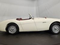 Austin Healey 100 kit Le Mans - <small></small> 115.000 € <small>TTC</small> - #25