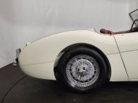 Austin Healey 100 kit Le Mans - <small></small> 115.000 € <small>TTC</small> - #26