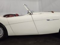 Austin Healey 100 kit Le Mans - <small></small> 115.000 € <small>TTC</small> - #27