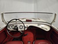 Austin Healey 100 kit Le Mans - <small></small> 115.000 € <small>TTC</small> - #29