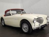 Austin Healey 100 kit Le Mans - <small></small> 115.000 € <small>TTC</small> - #30