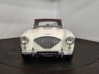 Austin Healey 100 kit Le Mans - <small></small> 115.000 € <small>TTC</small> - #31