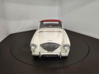 Austin Healey 100 kit Le Mans - <small></small> 115.000 € <small>TTC</small> - #32