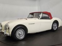 Austin Healey 100 kit Le Mans - <small></small> 115.000 € <small>TTC</small> - #33