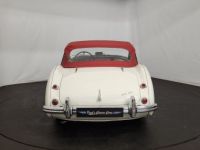 Austin Healey 100 kit Le Mans - <small></small> 115.000 € <small>TTC</small> - #35