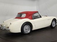 Austin Healey 100 kit Le Mans - <small></small> 115.000 € <small>TTC</small> - #37