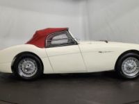 Austin Healey 100 kit Le Mans - <small></small> 115.000 € <small>TTC</small> - #38