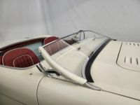 Austin Healey 100 kit Le Mans - <small></small> 115.000 € <small>TTC</small> - #62