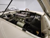 Austin Healey 100 kit Le Mans - <small></small> 115.000 € <small>TTC</small> - #70