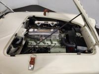 Austin Healey 100 kit Le Mans - <small></small> 115.000 € <small>TTC</small> - #71