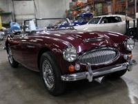 Austin Healey 3000 - <small></small> 103.000 € <small>TTC</small> - #1