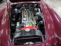 Austin Healey 3000 - <small></small> 103.000 € <small>TTC</small> - #2