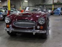 Austin Healey 3000 - <small></small> 103.000 € <small>TTC</small> - #11