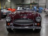 Austin Healey 3000 - <small></small> 103.000 € <small>TTC</small> - #12