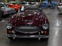 Austin Healey 3000 - <small></small> 103.000 € <small>TTC</small> - #13