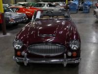 Austin Healey 3000 - <small></small> 103.000 € <small>TTC</small> - #14