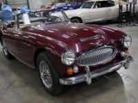 Austin Healey 3000 - <small></small> 103.000 € <small>TTC</small> - #15