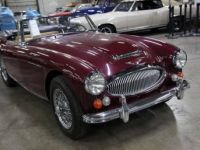 Austin Healey 3000 - <small></small> 103.000 € <small>TTC</small> - #16