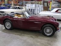 Austin Healey 3000 - <small></small> 103.000 € <small>TTC</small> - #27