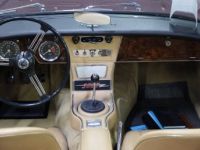 Austin Healey 3000 - <small></small> 103.000 € <small>TTC</small> - #38