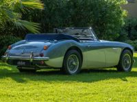 Austin Healey 3000 - <small></small> 87.990 € <small>TTC</small> - #2