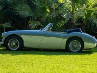 Austin Healey 3000 - <small></small> 87.990 € <small>TTC</small> - #4