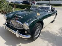 Austin Healey 3000 - <small></small> 61.000 € <small>TTC</small> - #1