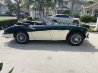 Austin Healey 3000 - <small></small> 61.000 € <small>TTC</small> - #4