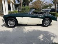 Austin Healey 3000 - <small></small> 61.000 € <small>TTC</small> - #5