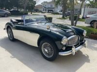 Austin Healey 3000 - <small></small> 61.000 € <small>TTC</small> - #30