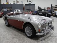 Austin Healey 3000 - <small></small> 58.000 € <small>TTC</small> - #2