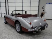 Austin Healey 3000 - <small></small> 58.000 € <small>TTC</small> - #3