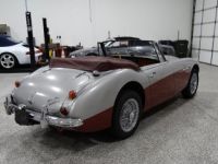 Austin Healey 3000 - <small></small> 58.000 € <small>TTC</small> - #4