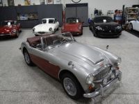 Austin Healey 3000 - <small></small> 58.000 € <small>TTC</small> - #5