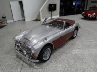 Austin Healey 3000 - <small></small> 58.000 € <small>TTC</small> - #6