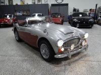 Austin Healey 3000 - <small></small> 58.000 € <small>TTC</small> - #9