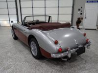 Austin Healey 3000 - <small></small> 58.000 € <small>TTC</small> - #11