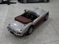 Austin Healey 3000 - <small></small> 58.000 € <small>TTC</small> - #12