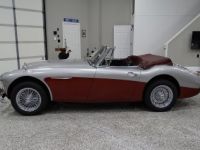 Austin Healey 3000 - <small></small> 58.000 € <small>TTC</small> - #13